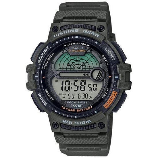 Imagen de Reloj Casio WS-1200H-3AVCF
