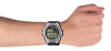 Imagen de Casio MWD-100H-9AVCF