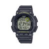 Imagen de Casio WS-2100H-8A