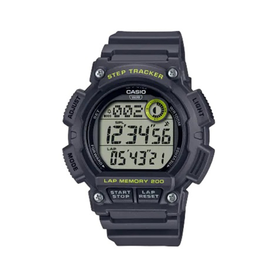 Imagen de Casio WS-2100H-8A