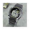 Imagen de Casio WS-2100H-8A