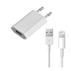 Imagen de Cargador y Cable Lightning Original Iphone Apple MB707ZM