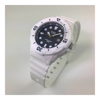 Imagen de Reloj Casio LRW-200H-1E