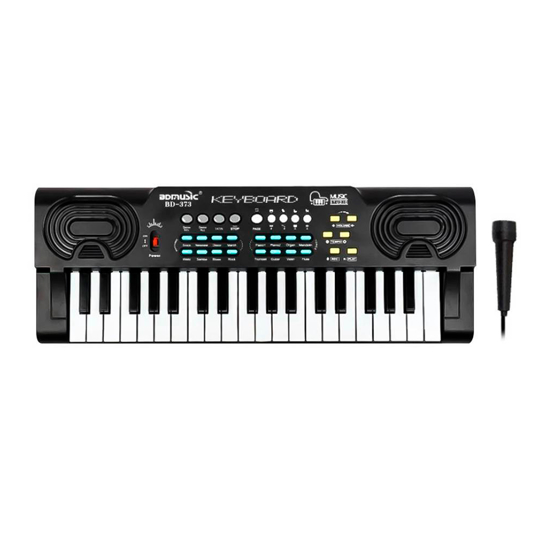 Imagen de Organo Electronico con Microfono 8 Samplers