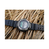 Imagen de Reloj Casio WS-1200H-1AVCF