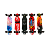 Imagen de Longboard Skate  Completo