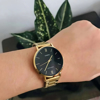 Imagen de Reloj Casio LTP-VT01G-1B