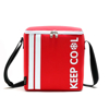 Imagen de Lunchera Bolso Almuerzo Aislante 10 Litros Keep Cool