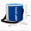 Imagen de Lunchera Bolso Almuerzo Aislante 10 Litros Keep Cool