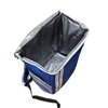Imagen de Mochila Bolso Lunchera Térmica Aislante 19 Litros Keep Cool