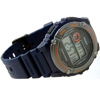 Imagen de Reloj Casio W-216H-2B