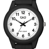 Imagen de Reloj Mujer Q&Q VS13J001Y Análogo